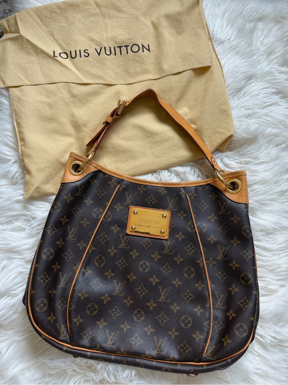 Louis Vuitton Monogram Galliera PM